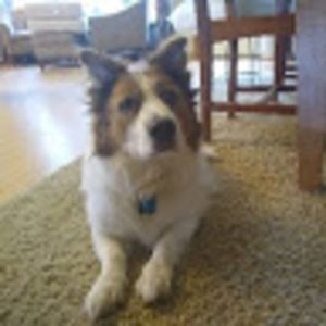 Meet your Posher, Lilah